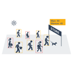 ZNS-AI2-VISADV - Licenza addizionale per rilevamento e conteggio caratteristiche di genere umano - Advanced Visitor Analysis (1 canale cumulabile) - Ganz