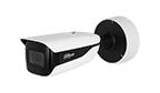 Telecamere IP