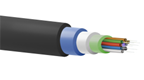 Monomodale multiservizio e smartbuilding (FTTH)