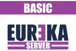 EUREKABASIC - Software per la gestione di impianti di sicurezza. Viene fornita una chiave di protezione che consente il collegamento fino a 2 impianti (NVR/DVR, antintrusione, antincendio etc..) - Eureka Integrazione